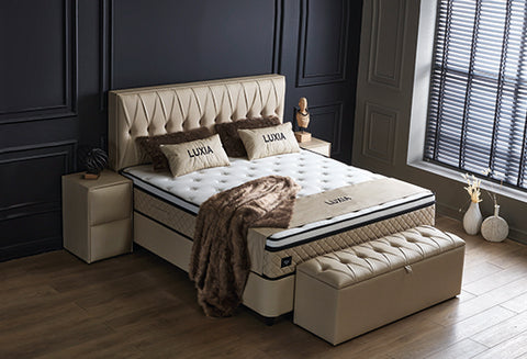 Designer box spring bed Luxia with mattress &amp; storage space 